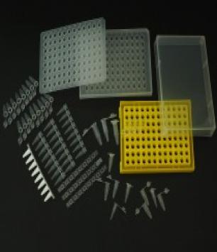PCR Products