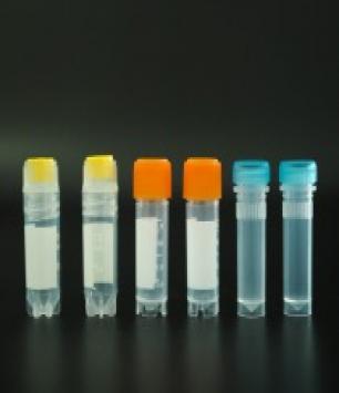 	Cryotube (Sterile)